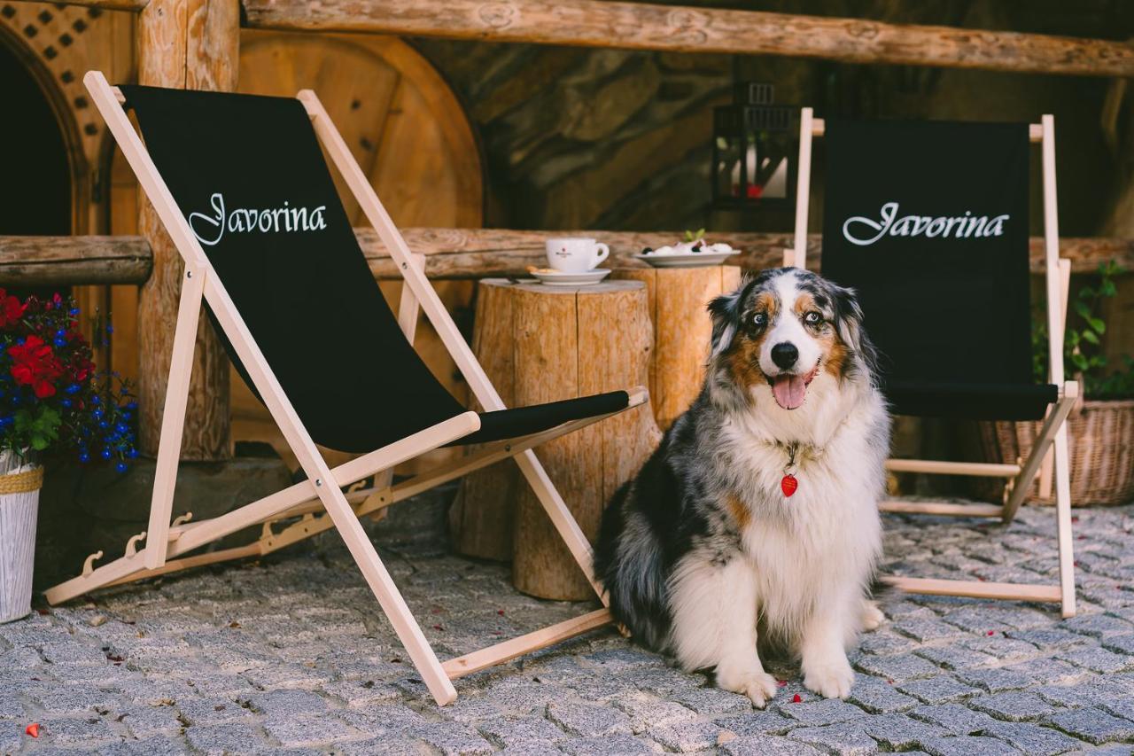 Domki Javorina Villa Zakopane Bagian luar foto